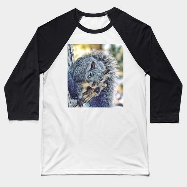 Curious woodland creature Baseball T-Shirt by Photography_fan